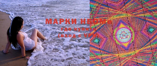 сатива Богородицк