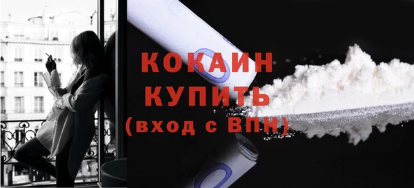 сатива Богородицк