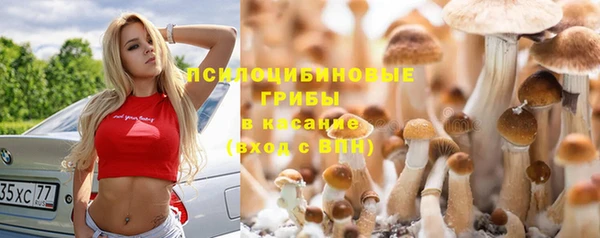 кокаин колумбия Богданович