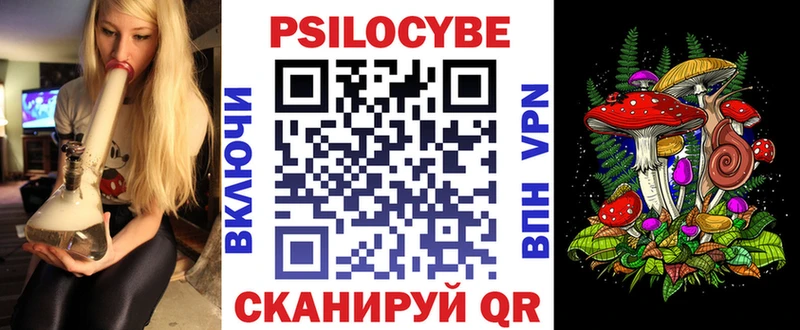 Галлюциногенные грибы Psilocybe  Сковородино 