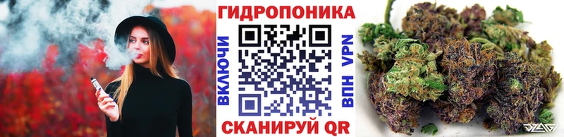 mega tor  Сковородино  Каннабис THC 21% 
